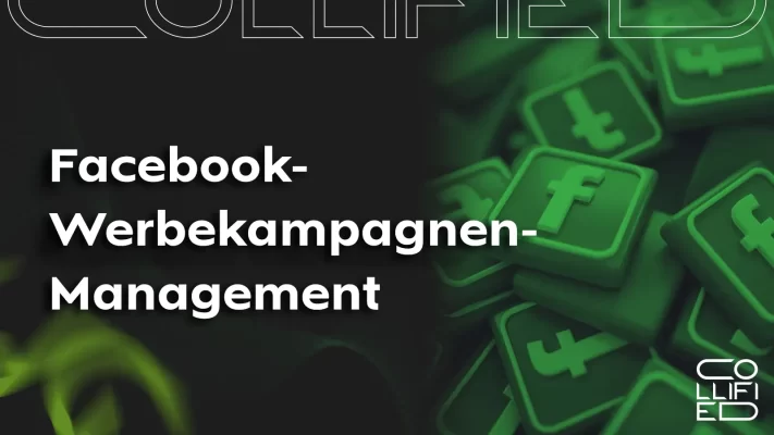 Facebook Werbekampagnen Management Facebook-Werbekampagnen-Management