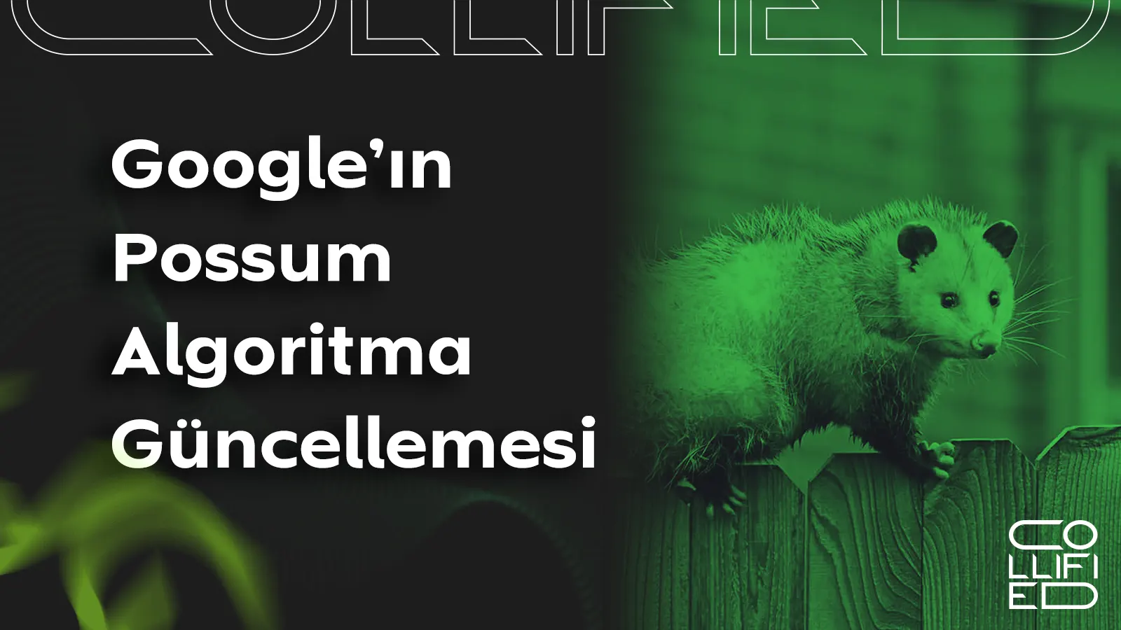 Googlein Possum Algoritma Guncellemesi Google'ın Possum Algoritma Güncellemesi Googlein Possum Algoritma Guncellemesi Google'ın Possum Algoritma Güncellemesi