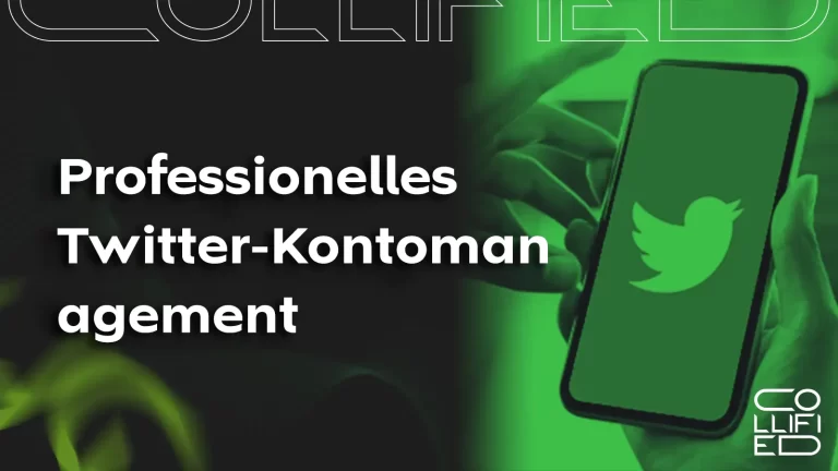 Professionelles Twitter-Kontomanagement Professionelles Twitter-Kontomanagement