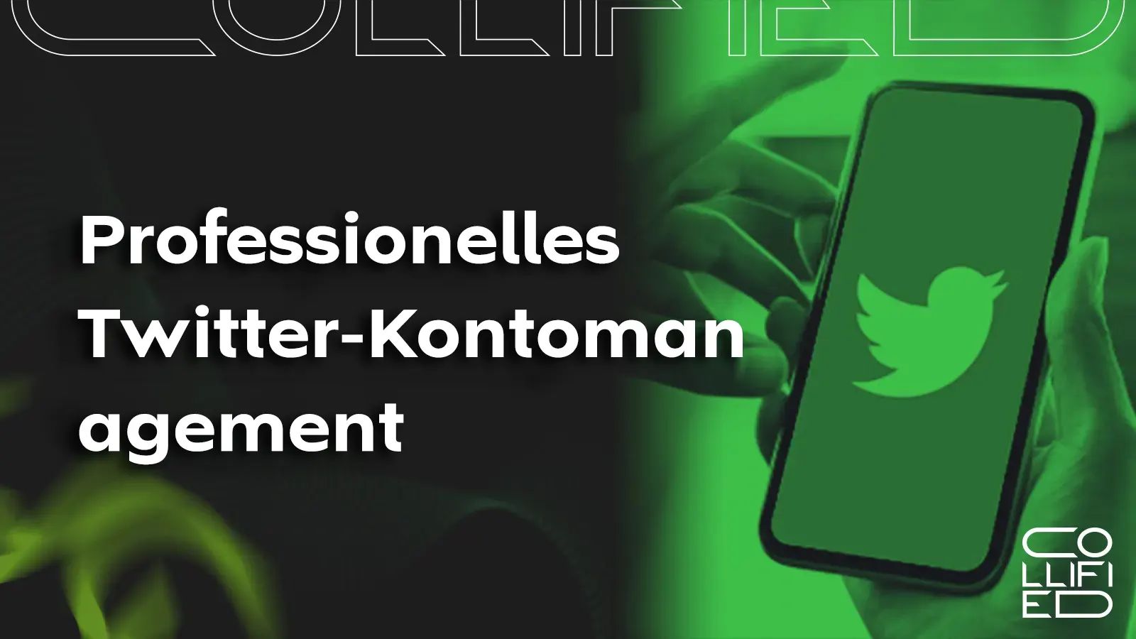 Professionelles Twitter Kontomanagement Professionelles Twitter-Kontomanagement