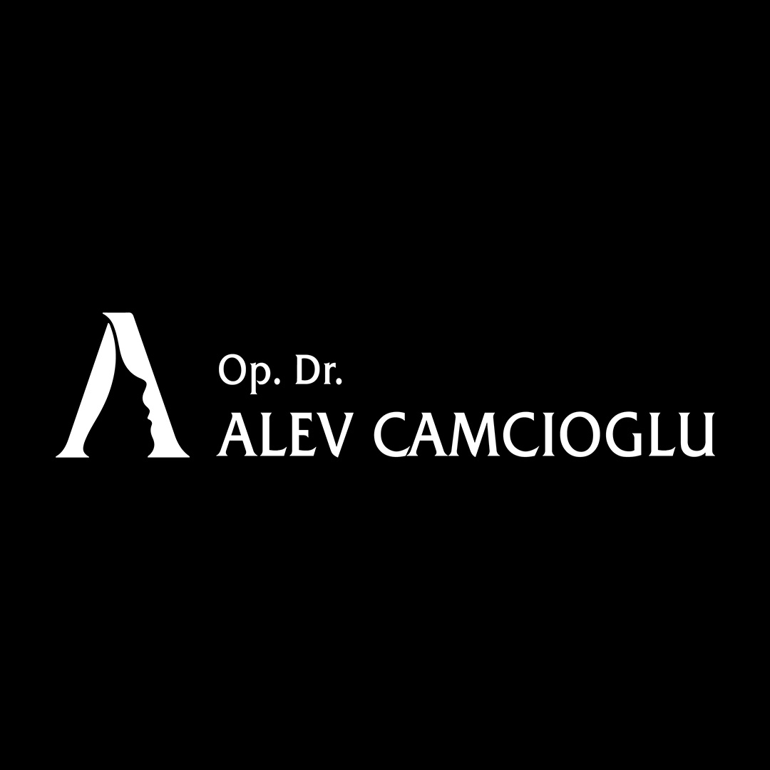 alev camcioğlu ana sayfa şablon