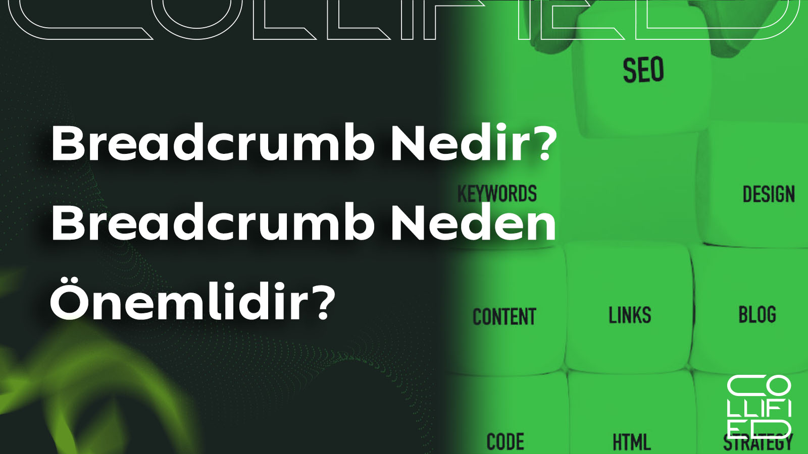 Breadcrumb Nedir Breadcrumb Neden Onemlidir Breadcrumb Nedir? Breadcrumb Neden Önemlidir? Breadcrumb Nedir Breadcrumb Neden Onemlidir Breadcrumb Nedir? Breadcrumb Neden Önemlidir?