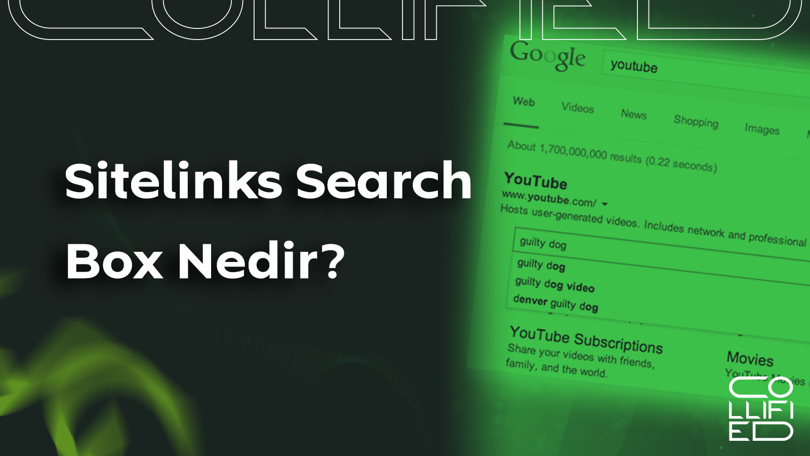 Sitelinks Search Box Nedir Sitelinks Search Box Nedir? Sitelinks Search Box Nedir Sitelinks Search Box Nedir?