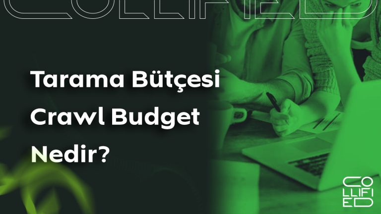 Tarama Bütçesi (Crawl Budget) Nedir? Tarama Bütçesi Crawl Budget Nedir