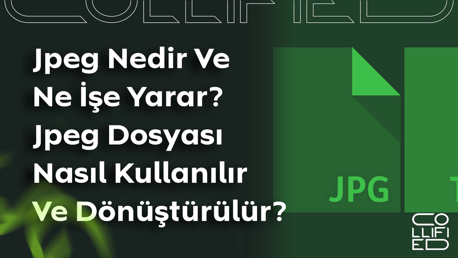 Jpeg Nedir Ve Ne Ise Yarar Jpeg Dosyasi Nasil Kullanilir Ve Donusturulur JPEG Nedir ve Ne İşe Yarar? JPEG Dosyası Nasıl Kullanılır ve Dönüştürülür? Jpeg Nedir Ve Ne Ise Yarar Jpeg Dosyasi Nasil Kullanilir Ve Donusturulur JPEG Nedir ve Ne İşe Yarar? JPEG Dosyası Nasıl Kullanılır ve Dönüştürülür?