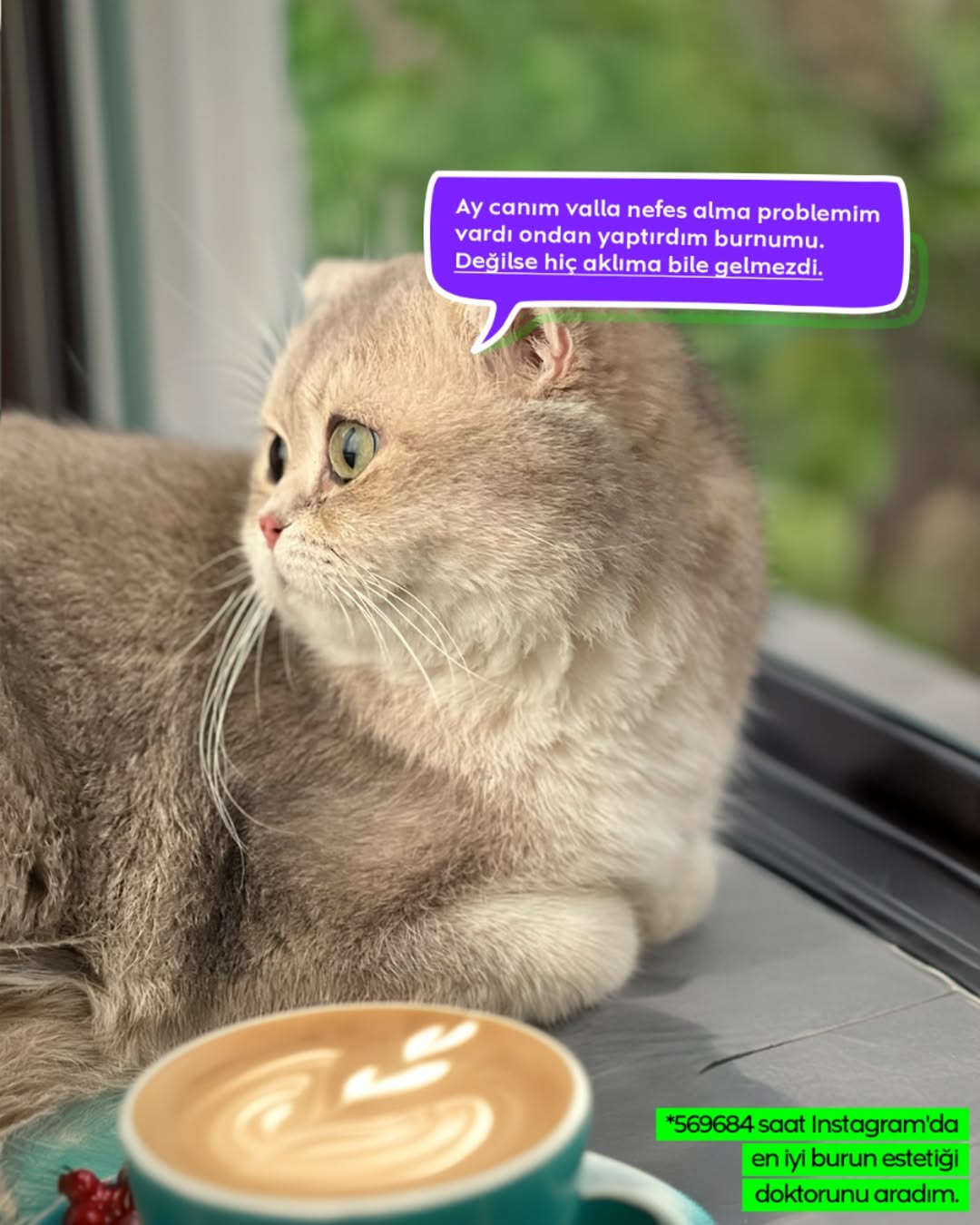 instagram galeri 6 ana sayfa şablon