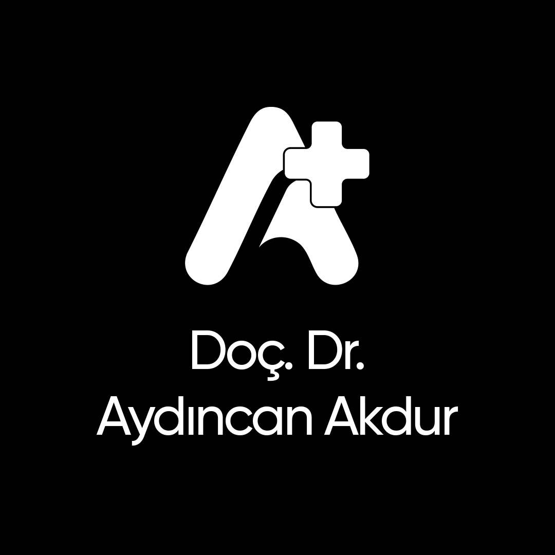 aydincan akdur ana sayfa şablon