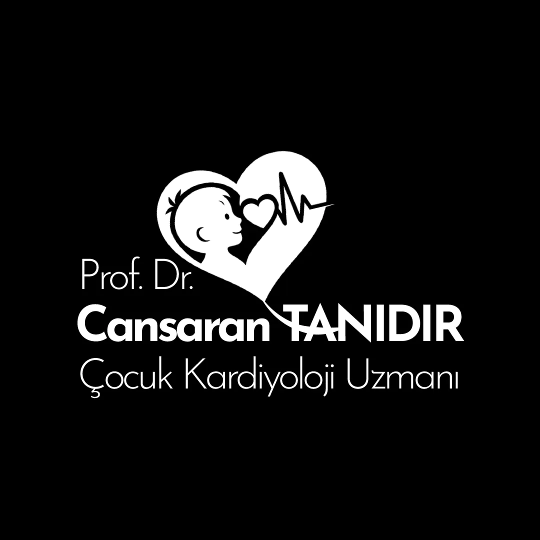 cansaran tanidir ana sayfa şablon