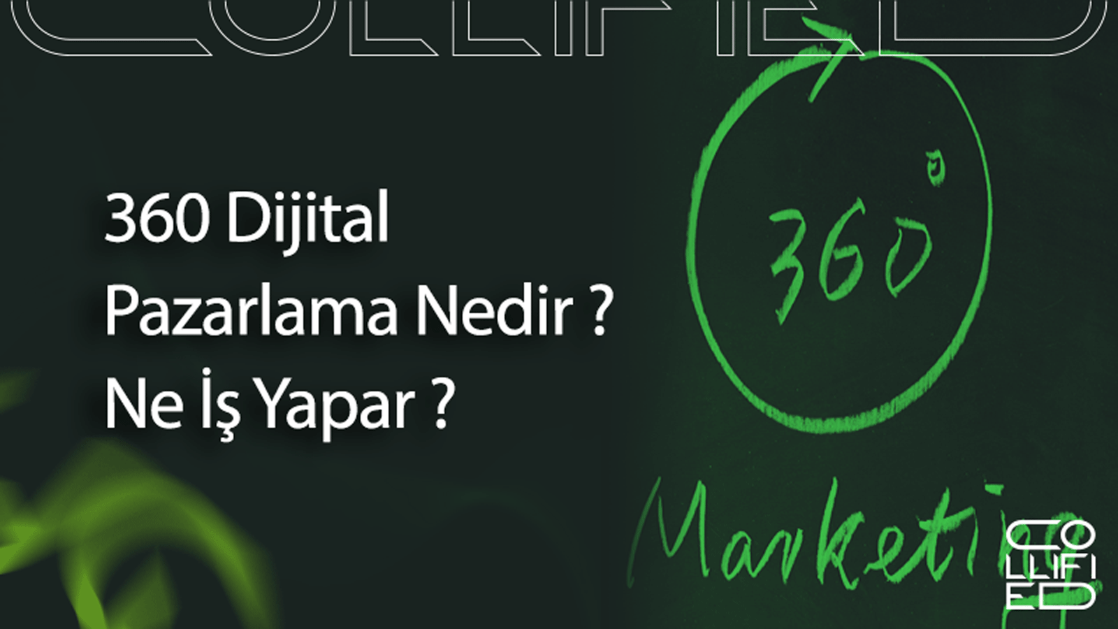 360 Dijital Pazarlama Nedir Ne Is Yapar 360° Dijital Pazarlama Nedir? Ne İş Yapar?