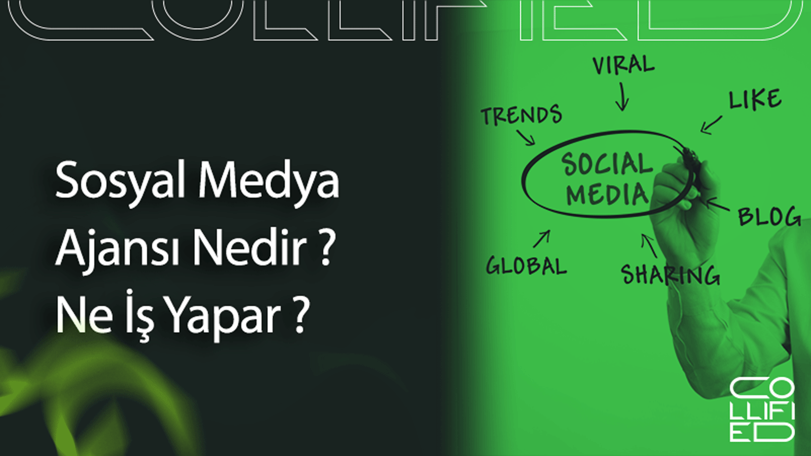 Sosyal Medya Ajansi Nedir Ne Is Yapar Sosyal Medya Ajansı Nedir? Ne İş Yapar?