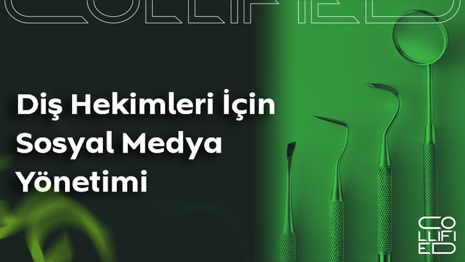 dis hekimleri icin sosyal medya yonetimi Diş Hekimleri için Sosyal Medya Yönetimi